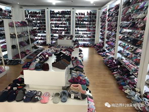 專(zhuān)供商超百貨業(yè)態(tài)杭州童裝與拖鞋標(biāo)桿生產(chǎn)企業(yè)訪廠教學(xué)活動(dòng)圓滿成功，苗木花卉產(chǎn)業(yè)協(xié)同發(fā)展